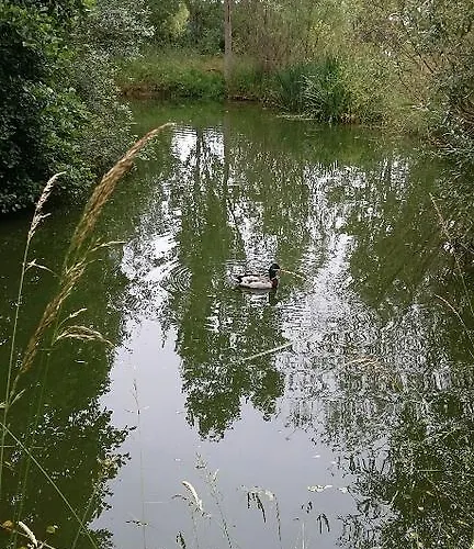 La Maison De Pradier Дом отдыха